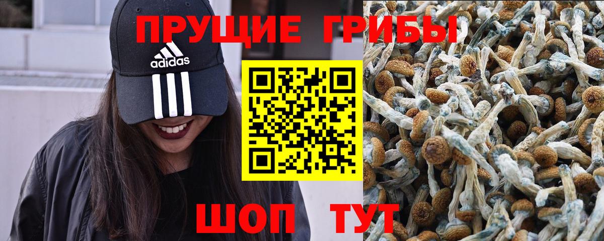 Каменск-Уральский  Псилоцибиновые грибы мухоморы  Вход с VPN 