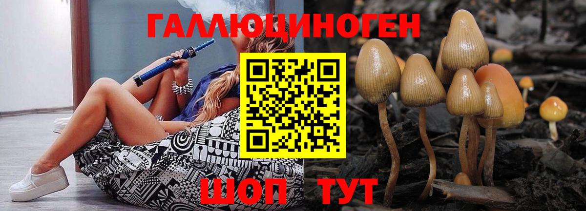 Псилоцибиновые грибы мухоморы Каменск-Уральский